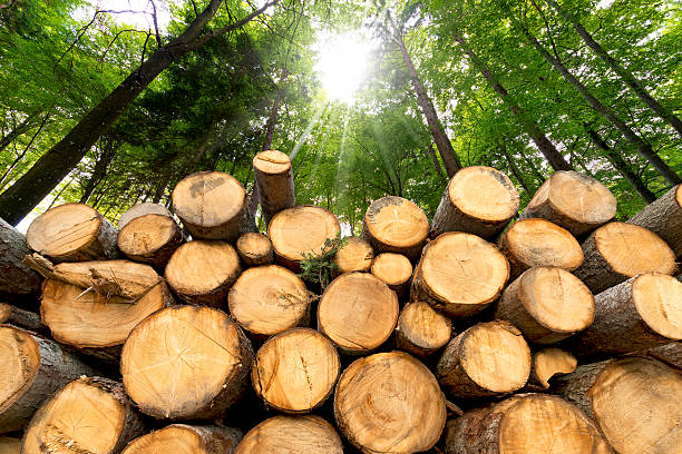 istockphoto-527072689-612×612